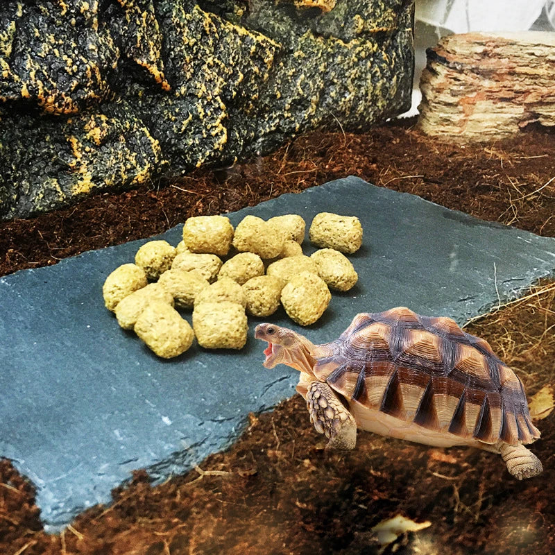 Tortoise Slab Mat Natural Rock Food Bowl Plate Climb Pet Reptile Box Original Ecological Aquarium Landscaping terrace Rest New