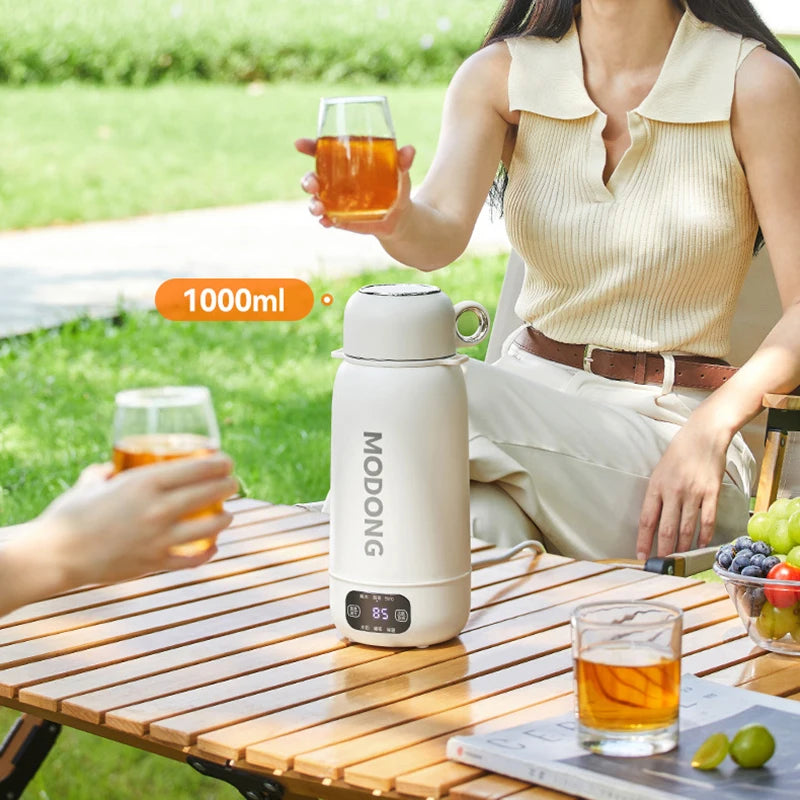 Home Car Portable Electric Kettle 1.0L Electric Heating Cup Multifunction Boiled Water Pot Outdoors Travel Teapot 12V 24V 220V