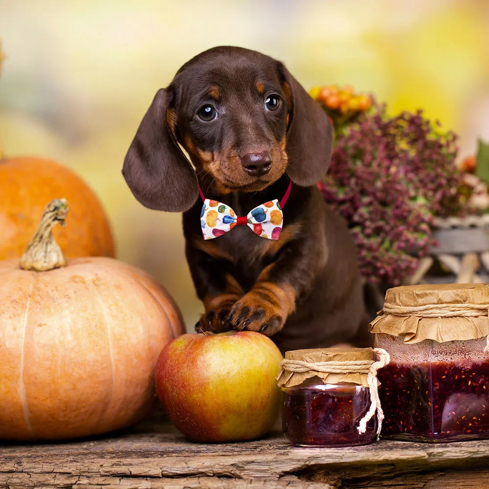 20/40PCS Thanksgiving Day Dog Bow Ties Adjustable Pet Collars Neckties For Dogs Wholesale Dog Bowties Pet Grooming Accessories