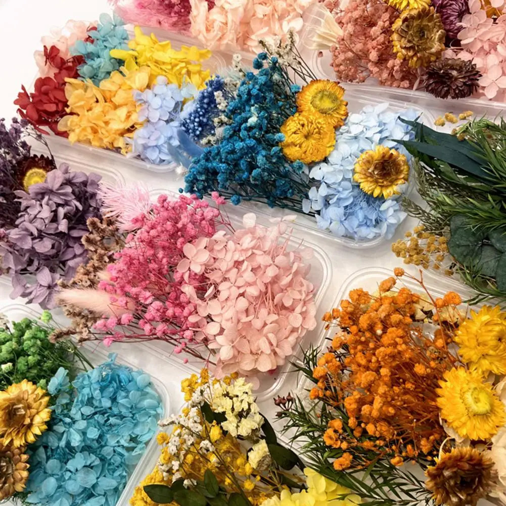 Dried Flowers Kit Real Natural Bulk DIY Handmade Everlasting Compressed Dried Flower Colorful Embossing Flowers Jewelry Supplies