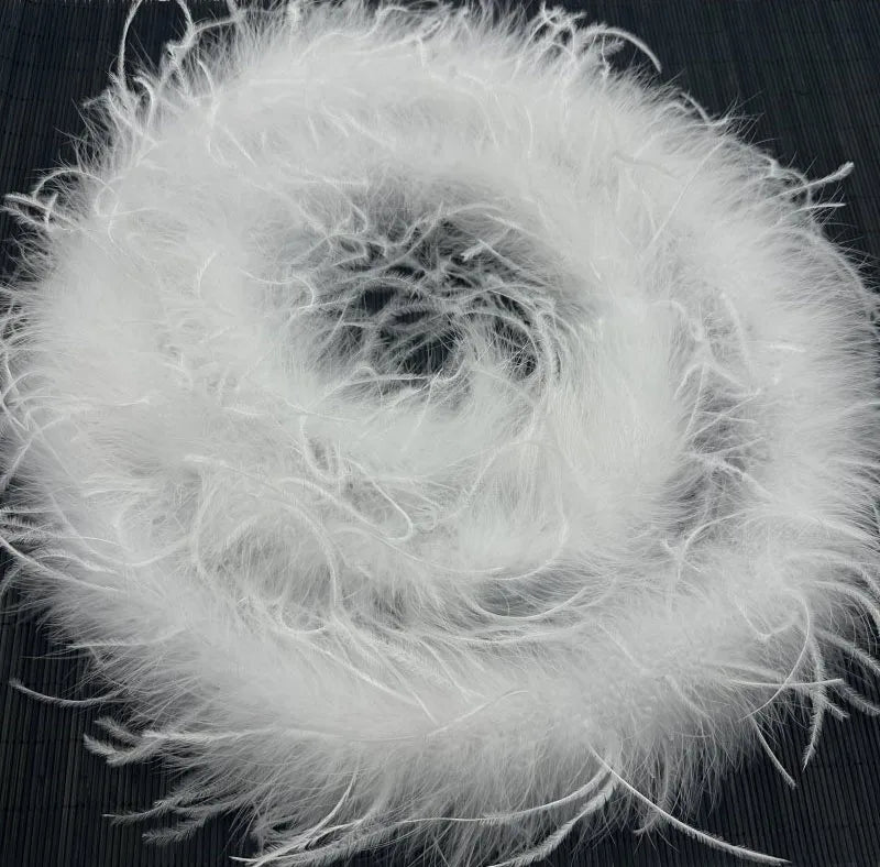 1 Ply Ostrich Feathers Boa 2Meters Shawl for Party Lady Dress Decoration Scarf Clothing DIY