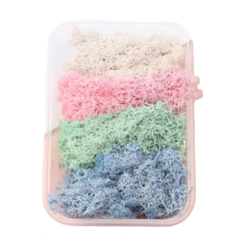 Dried Flowers Kit Real Natural Bulk DIY Handmade Everlasting Compressed Dried Flower Colorful Embossing Flowers Jewelry Supplies