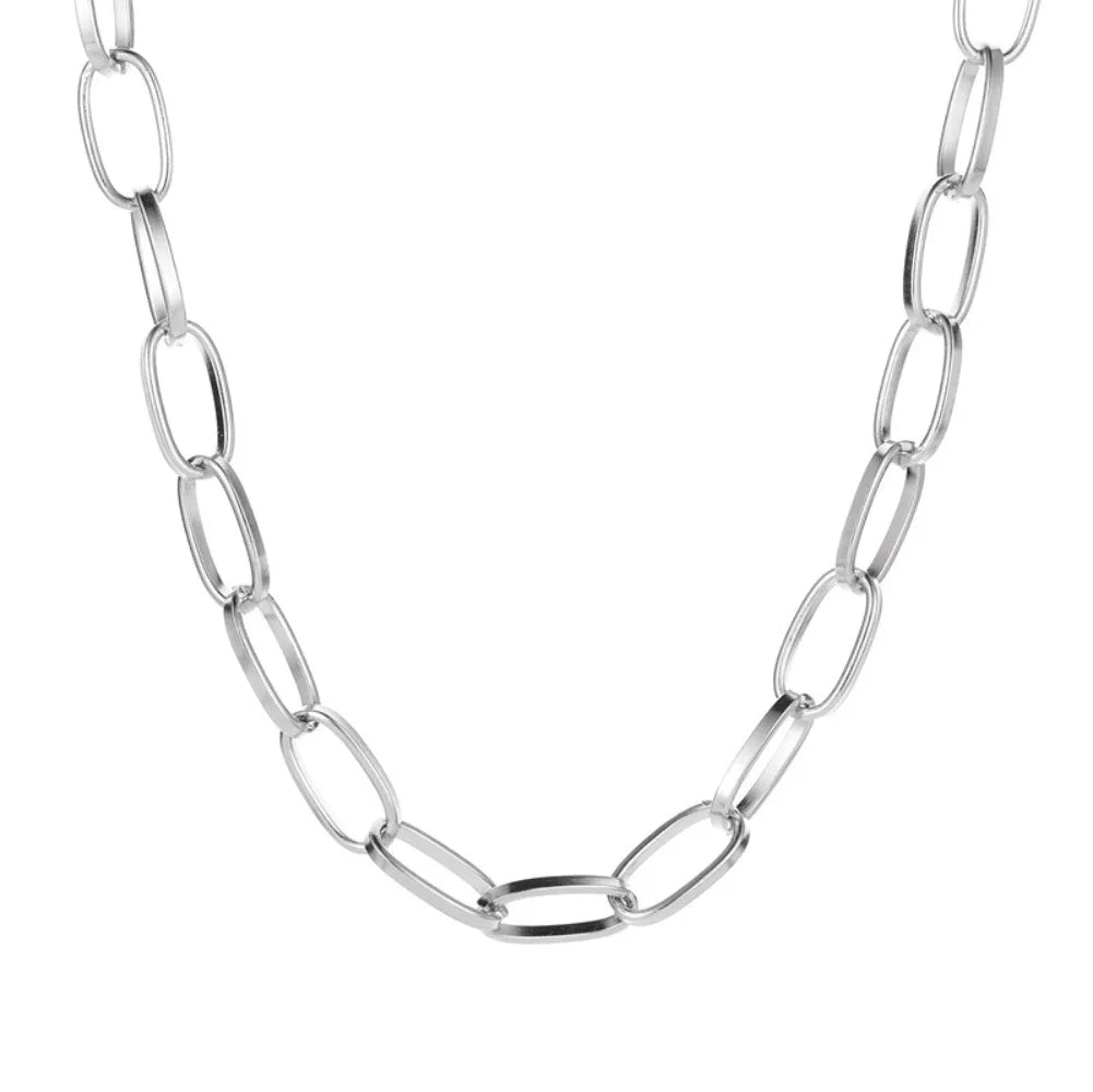 New Arrival Fashion Simple Short Thick Chain Necklace Punk Hip-hop Clavicle Chain for Women Personality Jewelry Accessories Gift