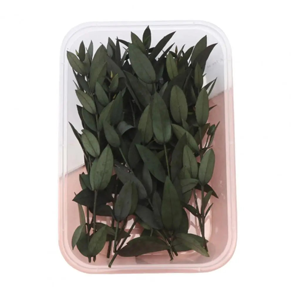 Dried Flowers Kit Real Natural Bulk DIY Handmade Everlasting Compressed Dried Flower Colorful Embossing Flowers Jewelry Supplies