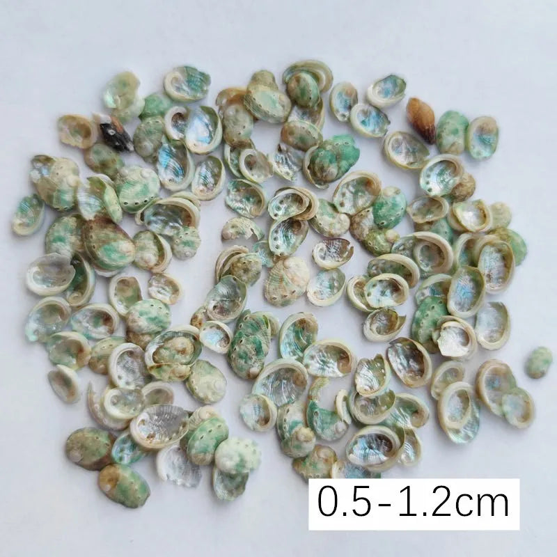 40piece 1-2cm Cute Starfish Natural Sea Shell Beads Mixed Jewelry Making Glass Vial Pendants Glass Globe Filler DIY Material