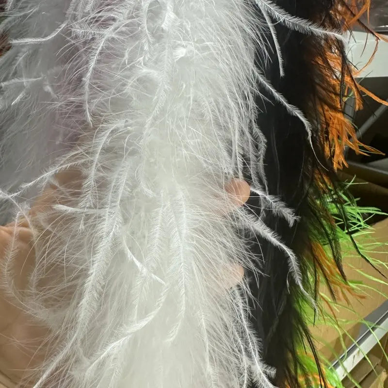 1 Ply Ostrich Feathers Boa 2Meters Shawl for Party Lady Dress Decoration Scarf Clothing DIY