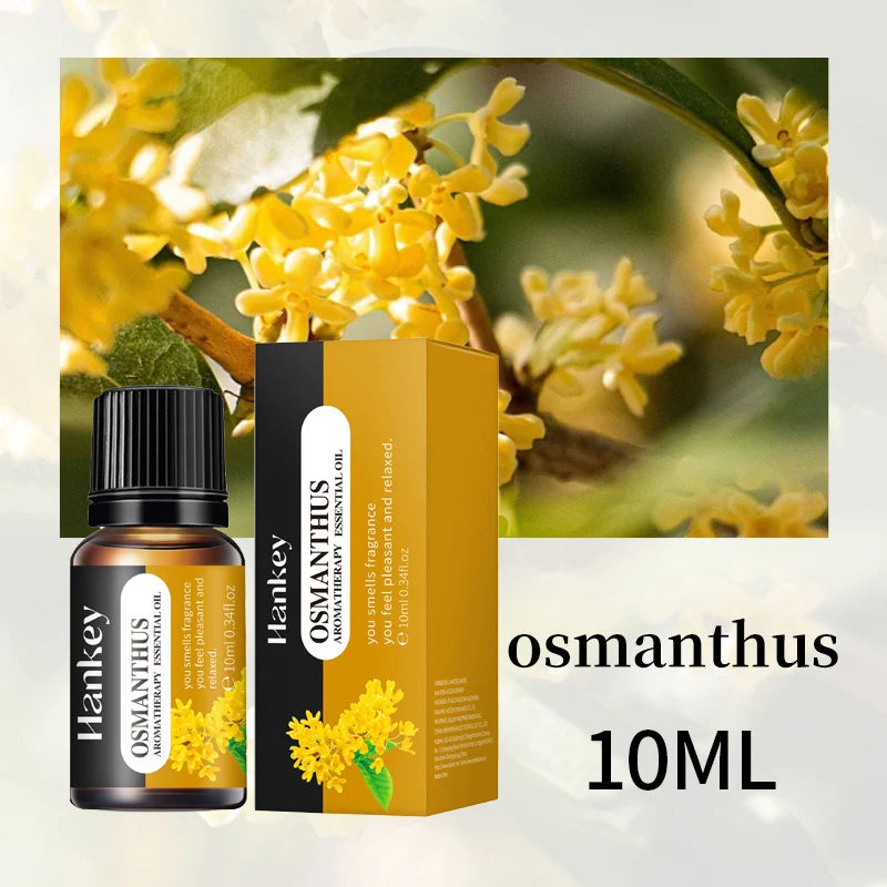 Fragrance Essential Oils Candles Burner Air Fresheners 10ML Natural Plant Aromatherapy Essential Oil for Humidifier Diffuser