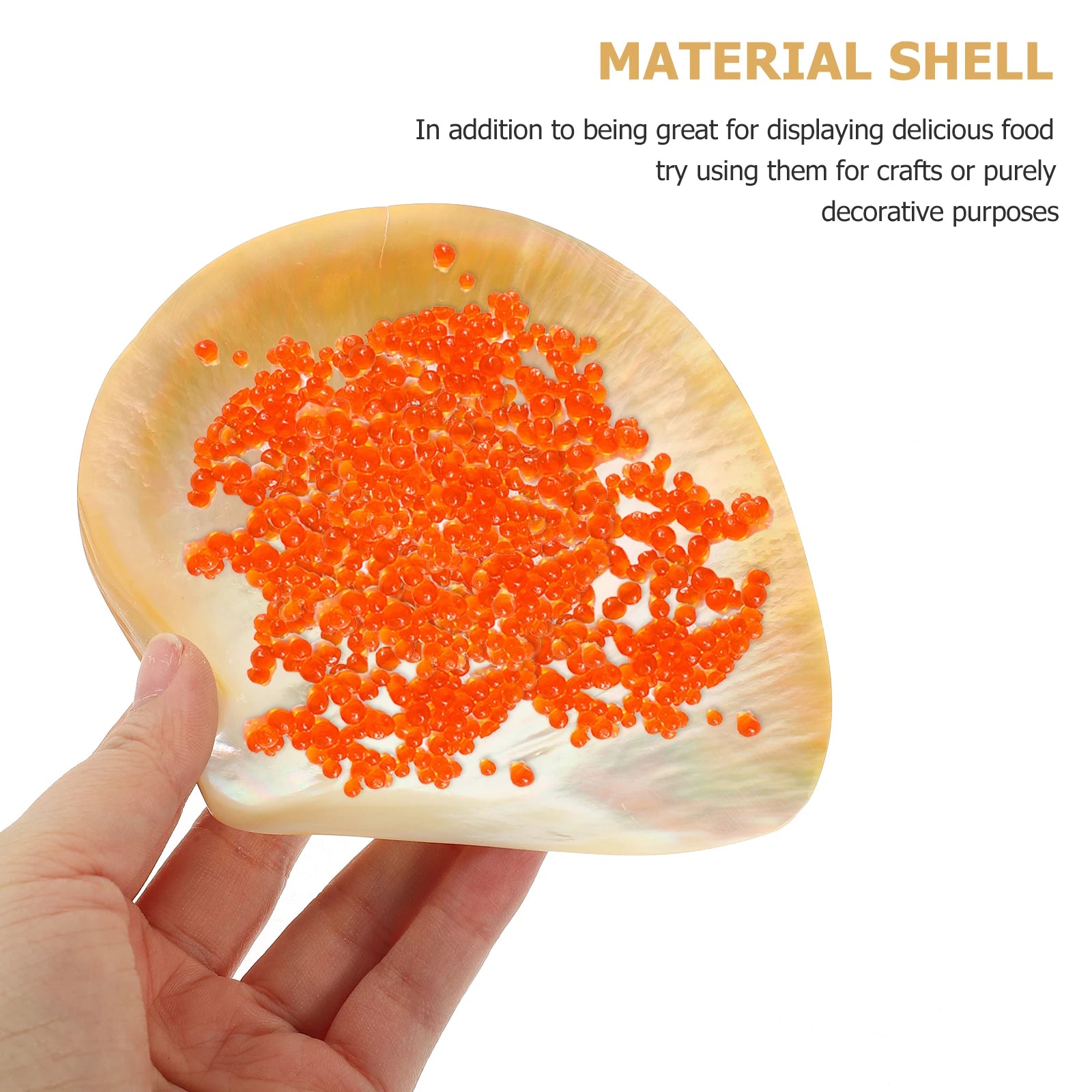 Shell Decorative Tray Dish Serving Trays Round Food Plate Dessert Cake Plates for Dinner Mother